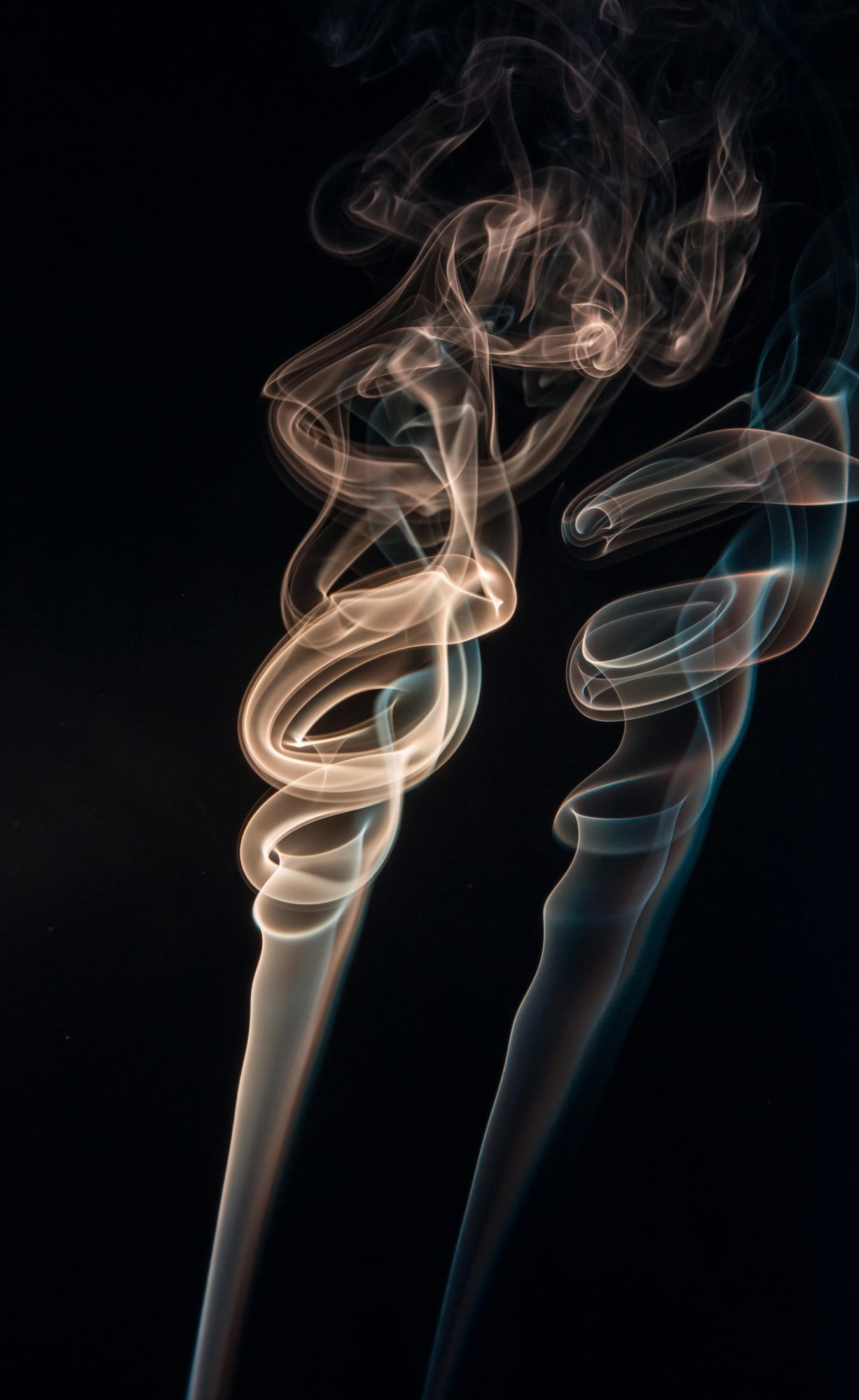 FRAGRANCE